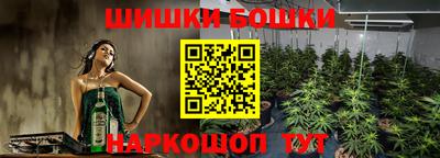 крисы Аргун