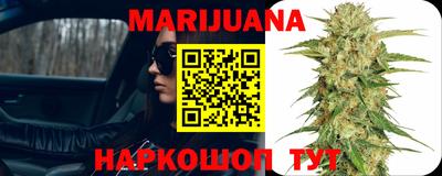 крисы Аргун