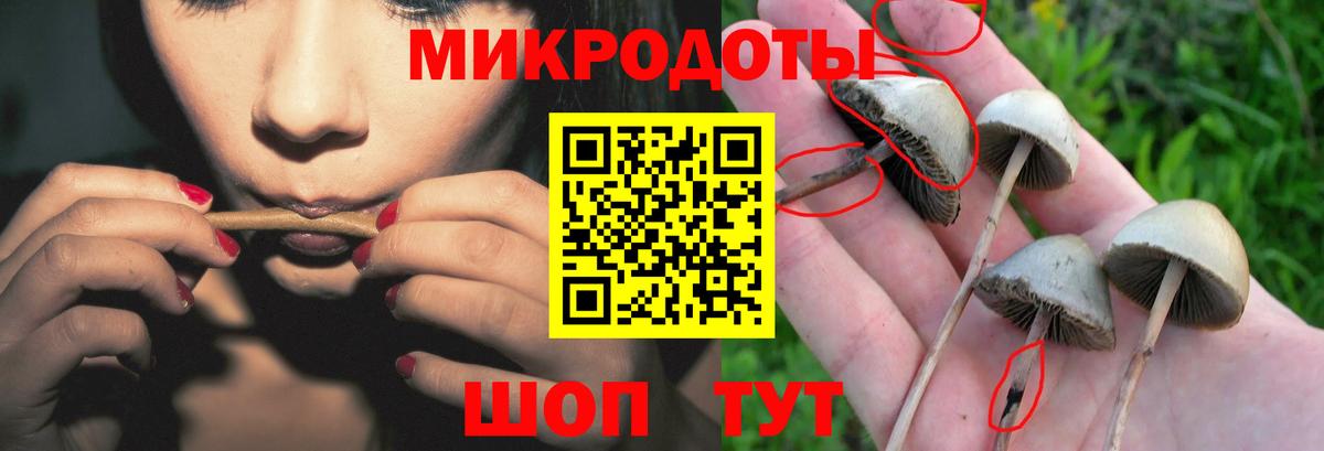 Псилоцибиновые грибы MAGIC MUSHROOMS  Галлюциногенные грибы мухоморы  Вход с VPN  Верхний Уфалей 